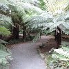AUNZ 20171120 0551