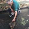 Bill feeding an animal (looks like a large rat)