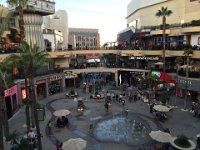 The hotel complex.  Hollywood Blvd is straight ahead