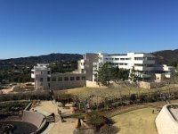 IMG 4790