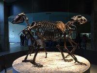 IMG 4836