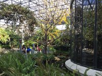 IMG 4848