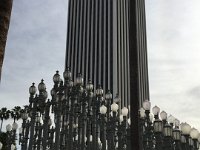 IMG 4854
