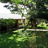 IMG 0880