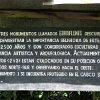 IMG 1192