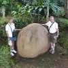 Francisco, Olmec gordo, Bill