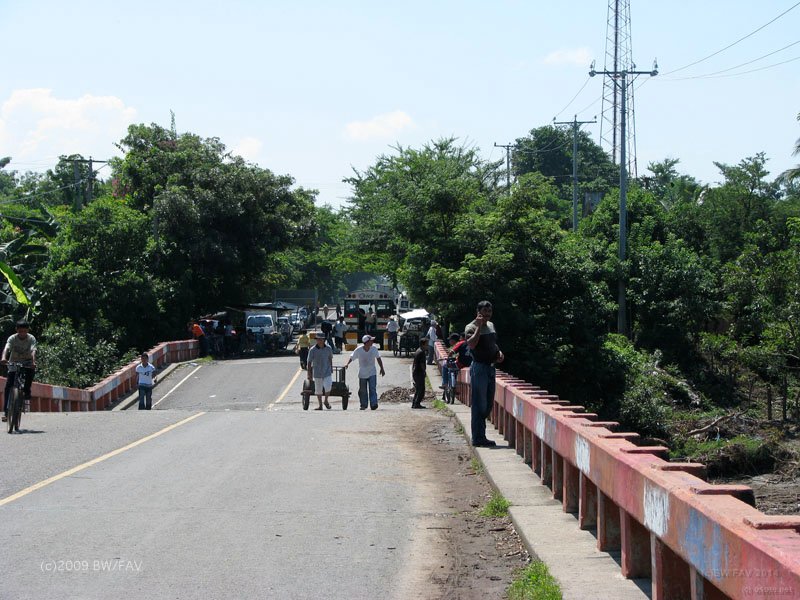 IMG 0684