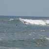 IMG 0580