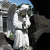 Angel in the Cemetery