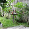 IMG 0360