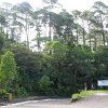 Boqueron (volcano) road