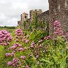UKDoverDoverCastle1b