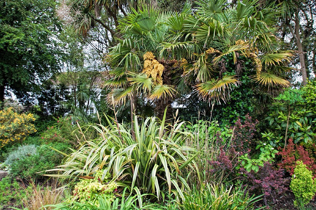 UKPENPenleeHouseGardens2