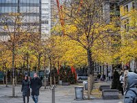 Zucotti Park in the Fall