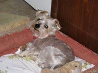 IMG 0229
