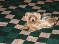 Pepito 11 11 025