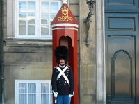 Royal Palace guard