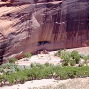 close up of the White House ruins