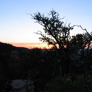IMG 2107