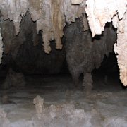 IMG 1663