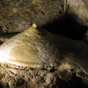IMG 1681