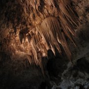 IMG 1687
