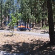 as we were leaving, we came upon this beginning of a forest fire!  we tried to put it out, but couldn't