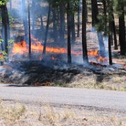We went to the nearest house and called the fire department
