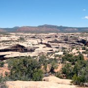 Natural Bridges area