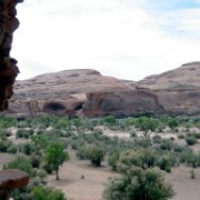 the view from the dwelling