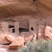 we climbed all the way up to the cliff dwelling