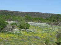 IMG 7583