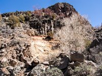 Rock slide and stand of Aspen trees