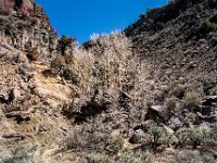 NMTAOSRioGrandeGorgeSTPrk20