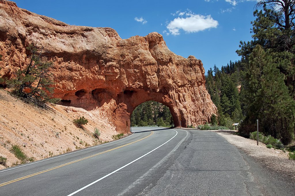 UTRedCanyon5