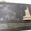 IMG 6791