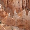IMG 6850