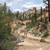 IMG 6901