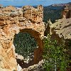 UTBryceCanyonNaturalBridge  Natural Bridge
