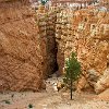 UTBryceCanyonWallStreetTrail4