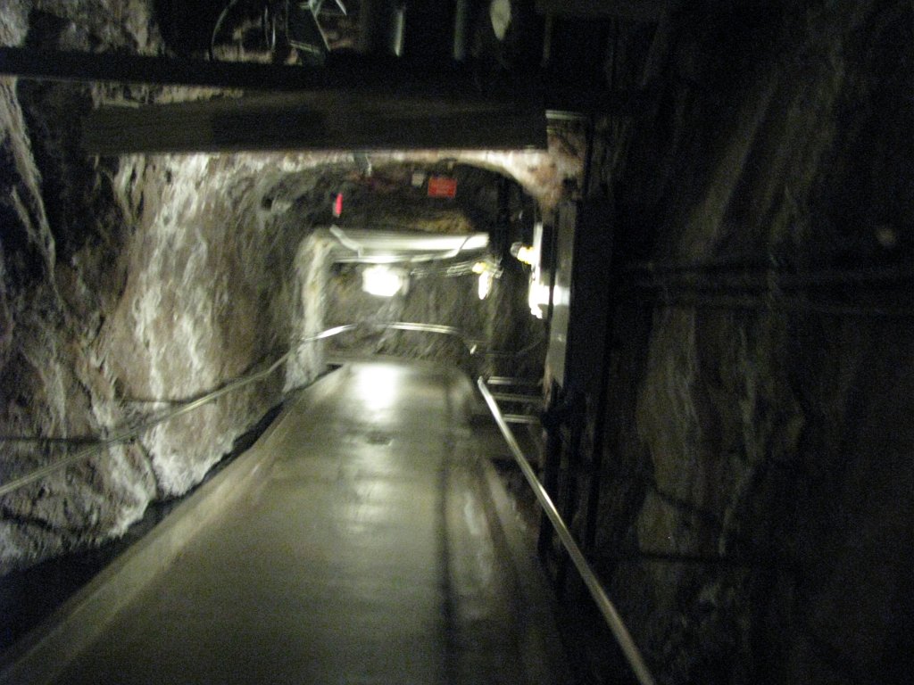 IMG 7370