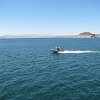 IMG 7409