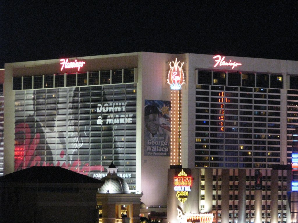 IMG 7246