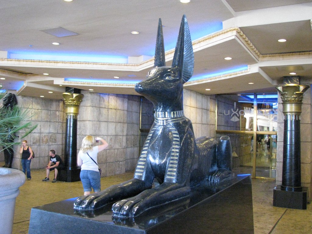IMG 7312