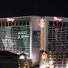 IMG 7246  Flamingo