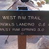 IMG 0594