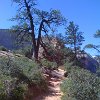 IMG 0596