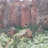 IMG 6964