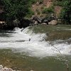 IMG 6984
