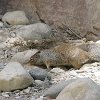IMG 6998